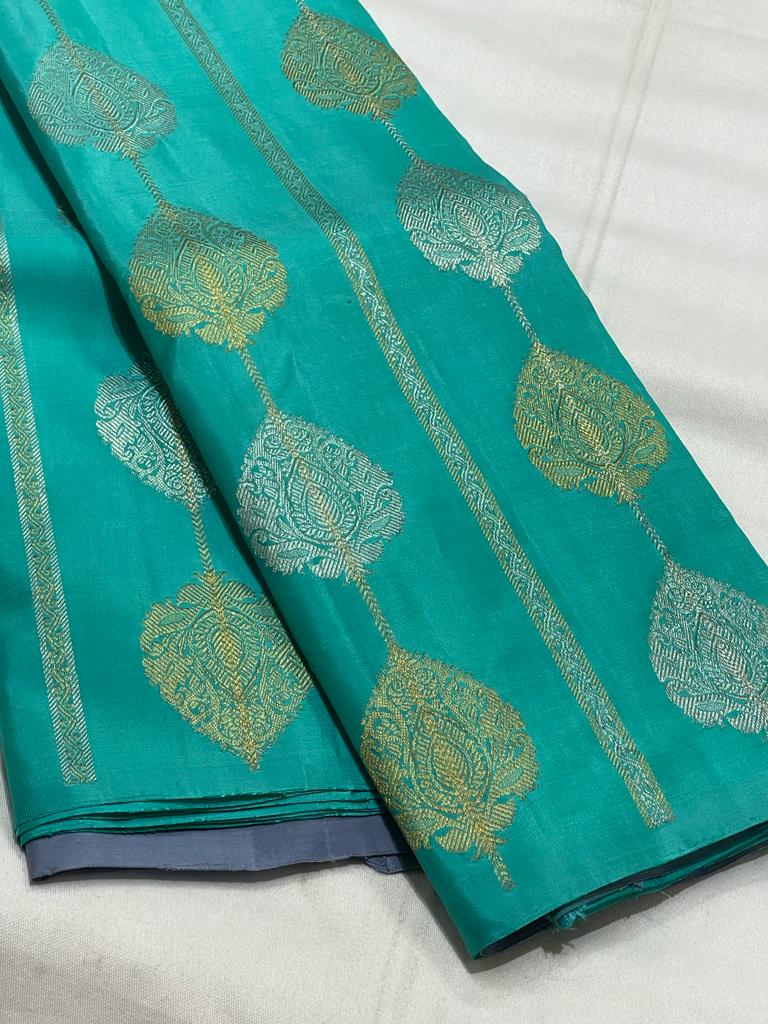 BLUE BORDERLESS SAREE