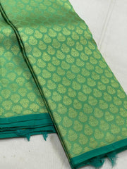 PARROT GREEN BORDERLESS SAREE