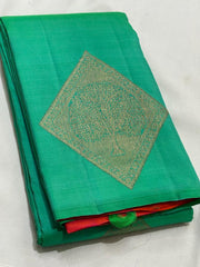 GREEN BORDERLESS SAREE