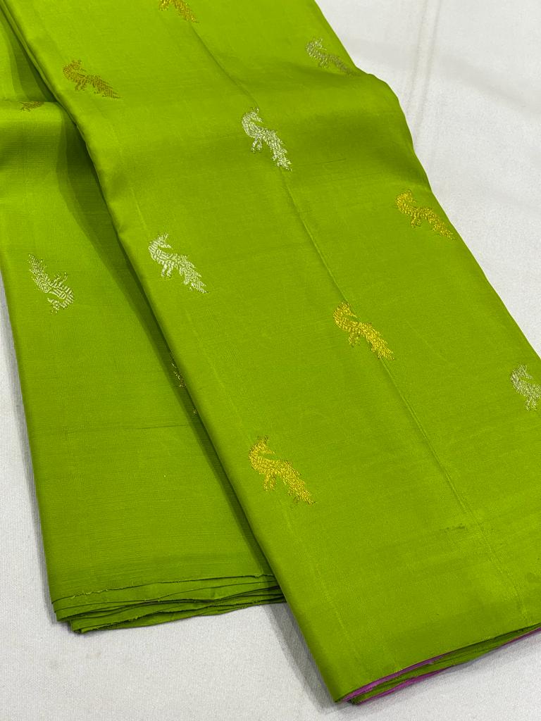 PARROT GREEN / PINK  BORDERLESS SAREE