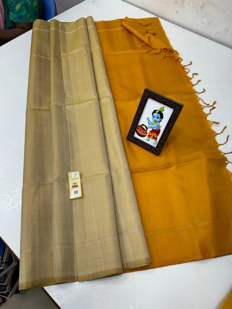 BORDERLESS SAREES