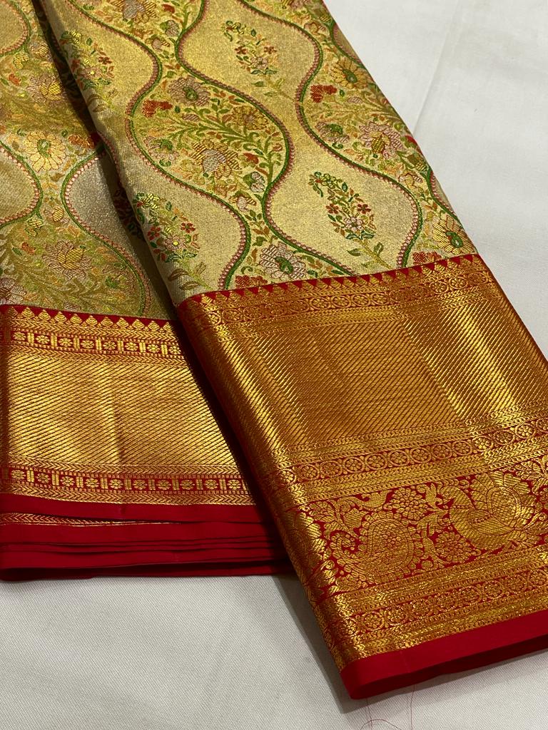 GOLD KANCHI TISSUE SAREE