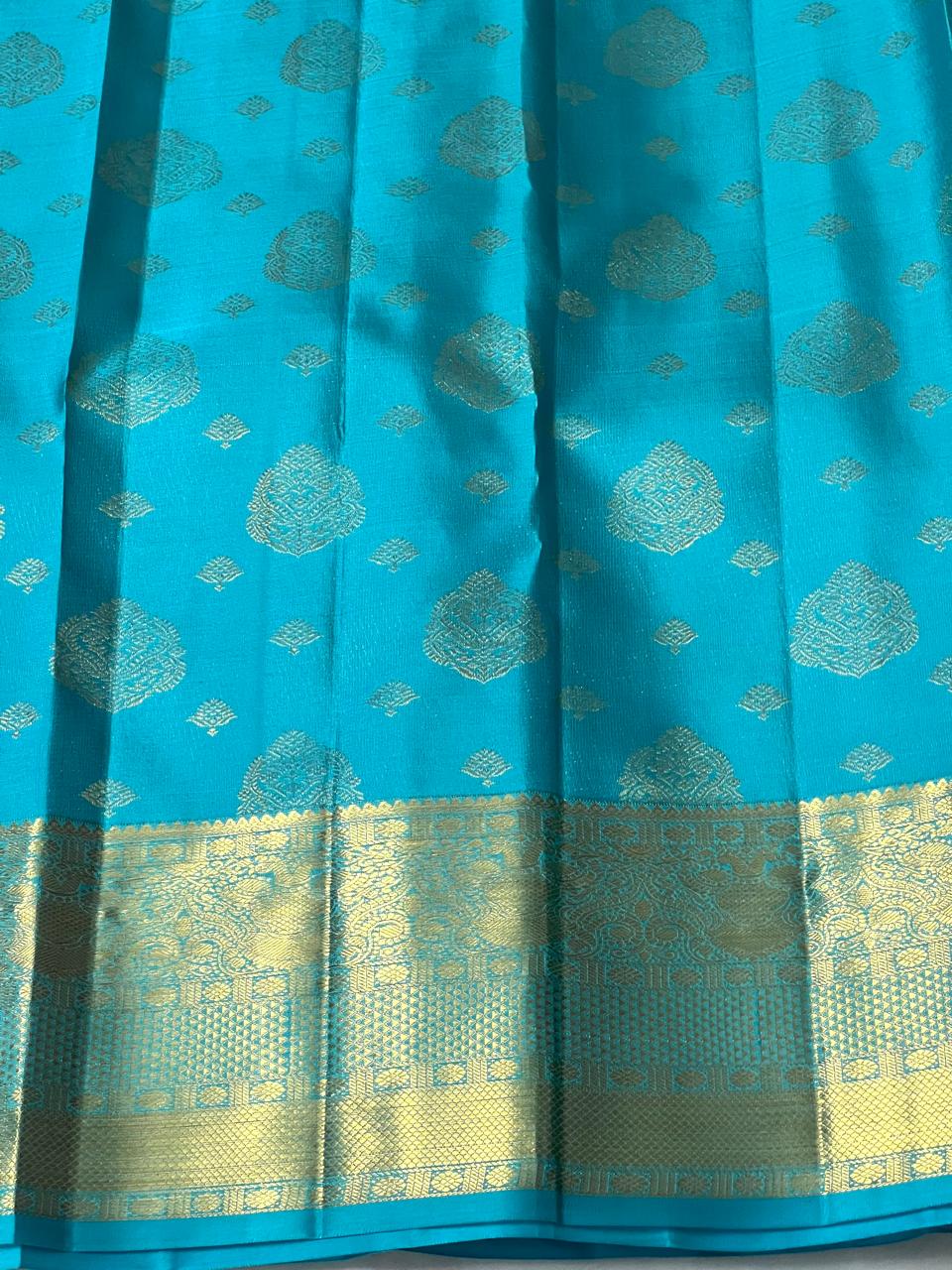 PURPLE/GOLD KANCHI SAREE